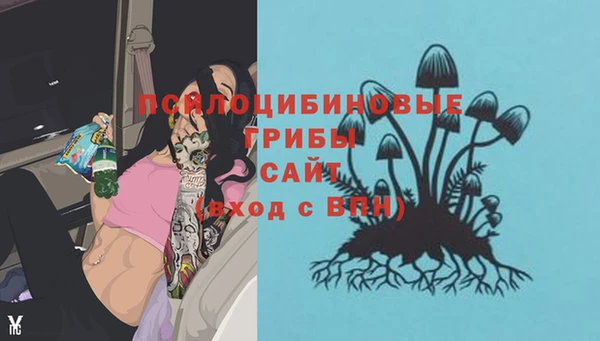 2c-b Алексеевка