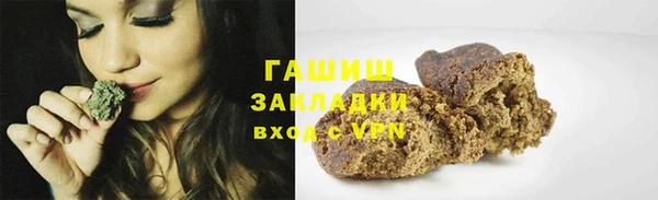 прущие грибы Алзамай