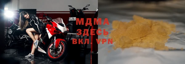 прущие грибы Алзамай