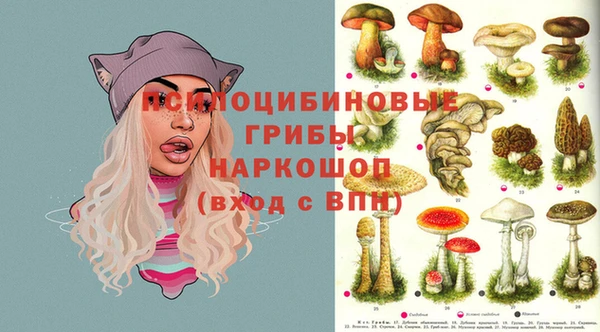 сатива Алексин