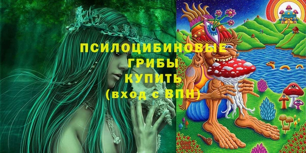 сатива Алексин
