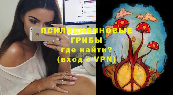 прущие грибы Алзамай
