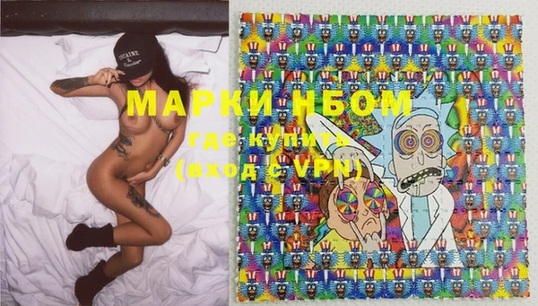 прущие грибы Алзамай