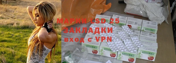 прущие грибы Алзамай