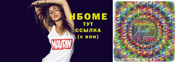 прущие грибы Алзамай