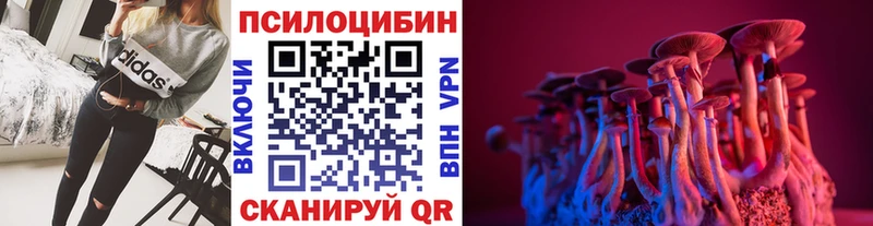 blacksprut ONION  Лесосибирск  Галлюциногенные грибы Psilocybe  купить  
